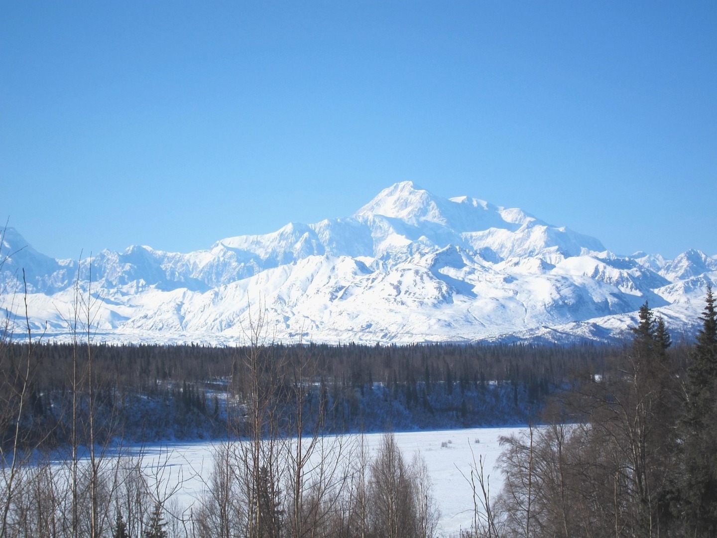 Hiking in Denali National Park near Denali